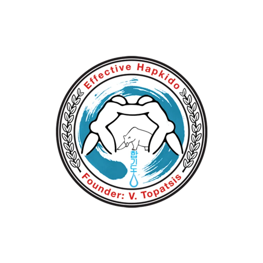 Effective Hapkido Org